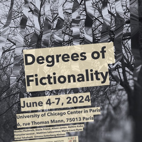 Degrees of Fictionality Poster