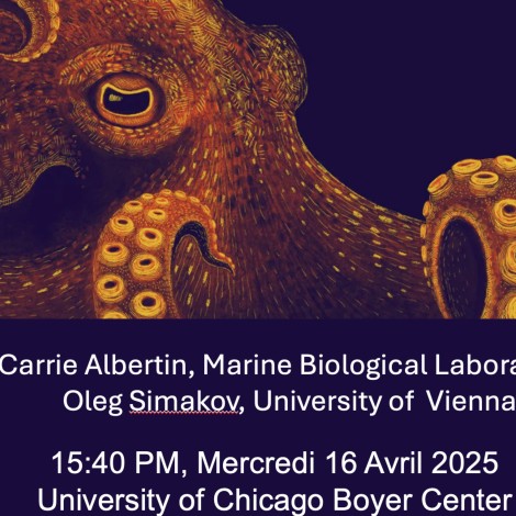 Inside the Cephalopod Brain: Genomics and Genetic Tools